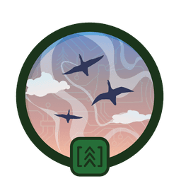 Terminal Velocity