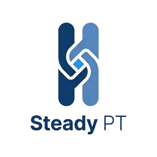 SteadyPT preview